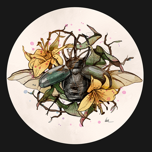 Beetle