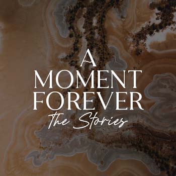 A Moment Forever - The Stories By Lola Hubner collection image
