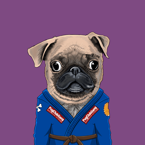 Pug #0163