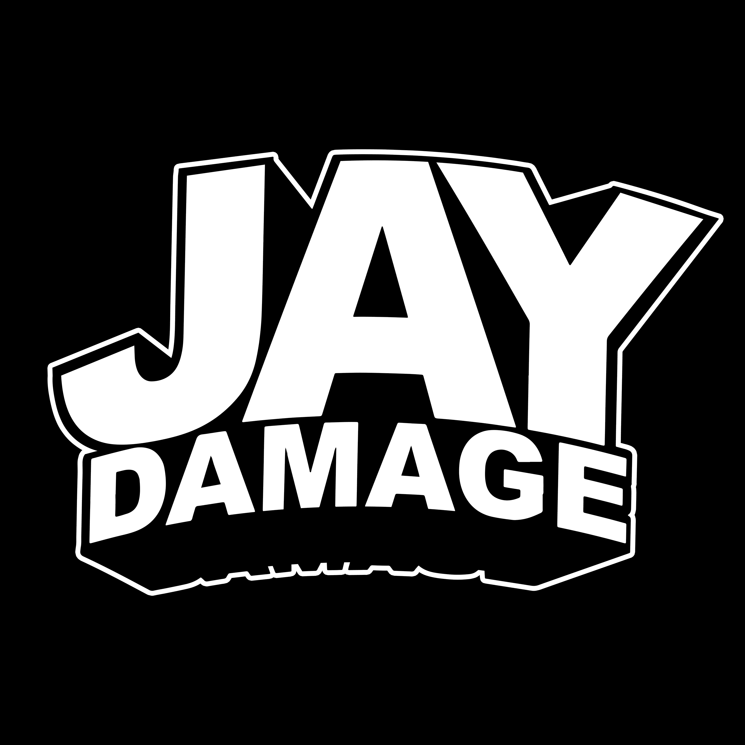 JayDamage