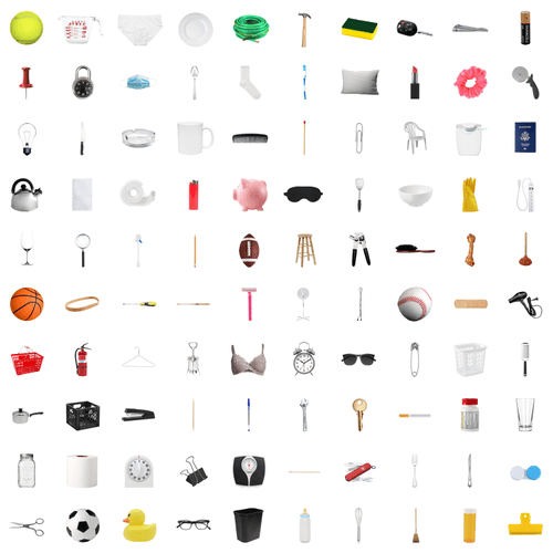 100 Everyday Items