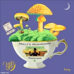 Molly's Mushrooms collection image