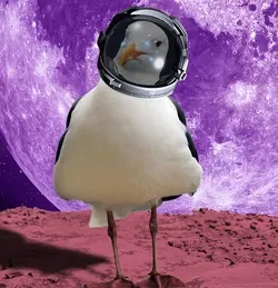 Gloria the Seagull lost in space collection image