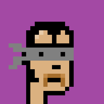 Thief Punk #0487
