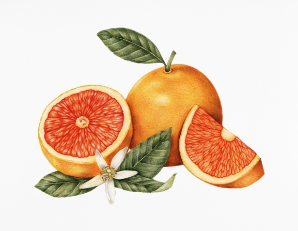 orangeni