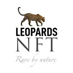 Leopards NFT collection image