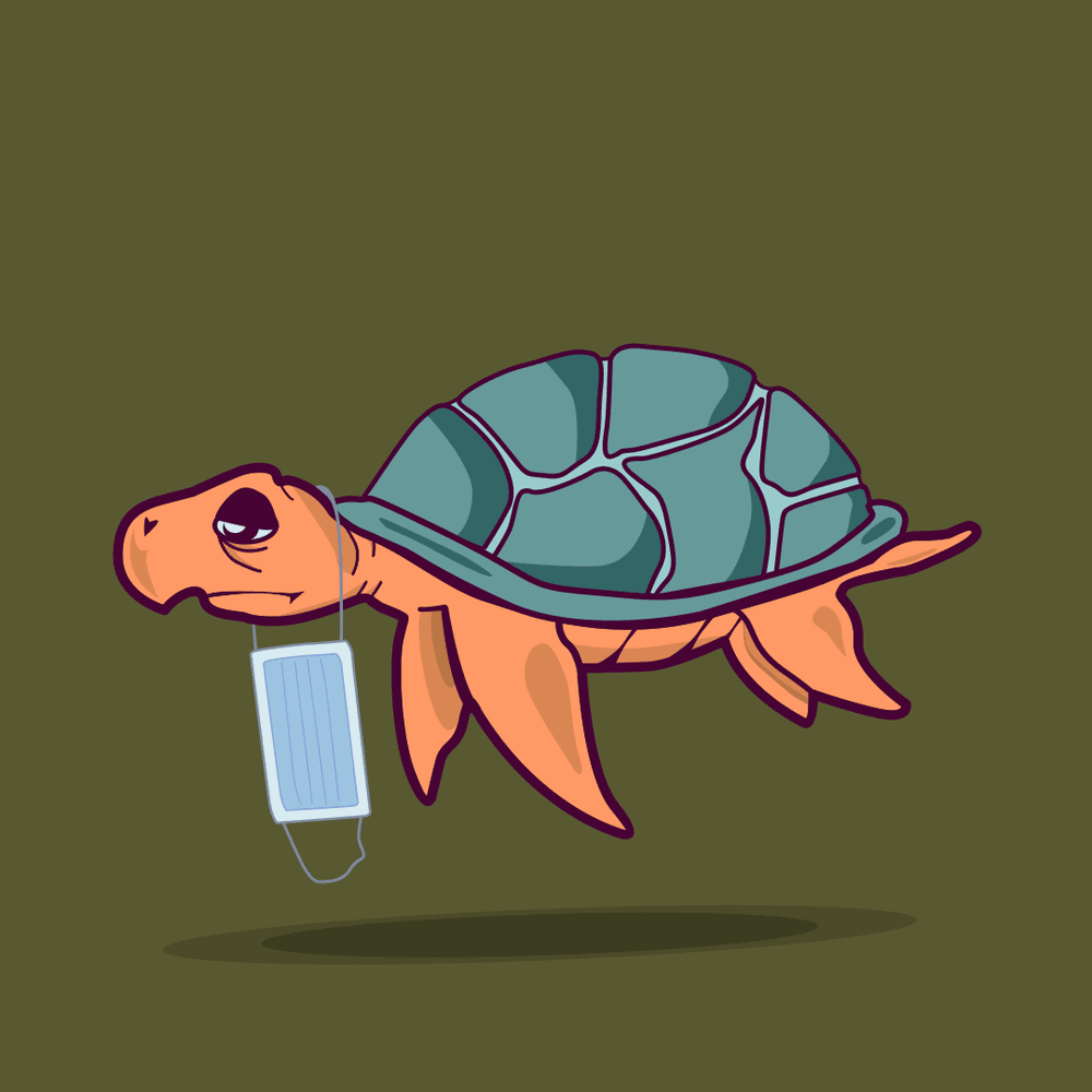 Sad Turtle - Straw blocking the nose - Sad Turtle