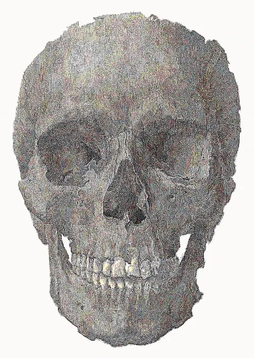 Memento Mori #204