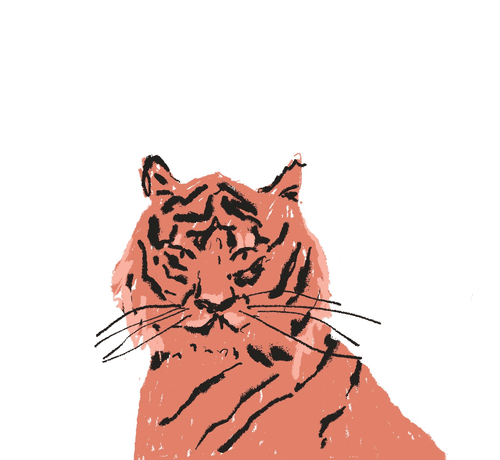 Tigery