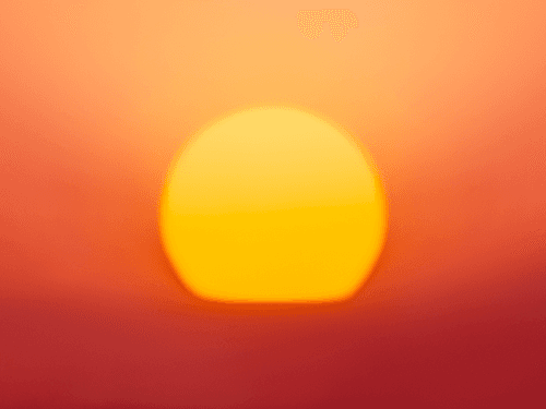 GM Sunshine No30