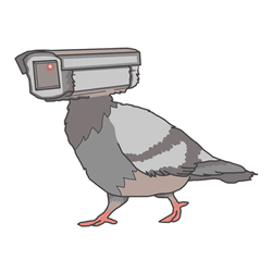 Pigeons Aren't Real collection image
