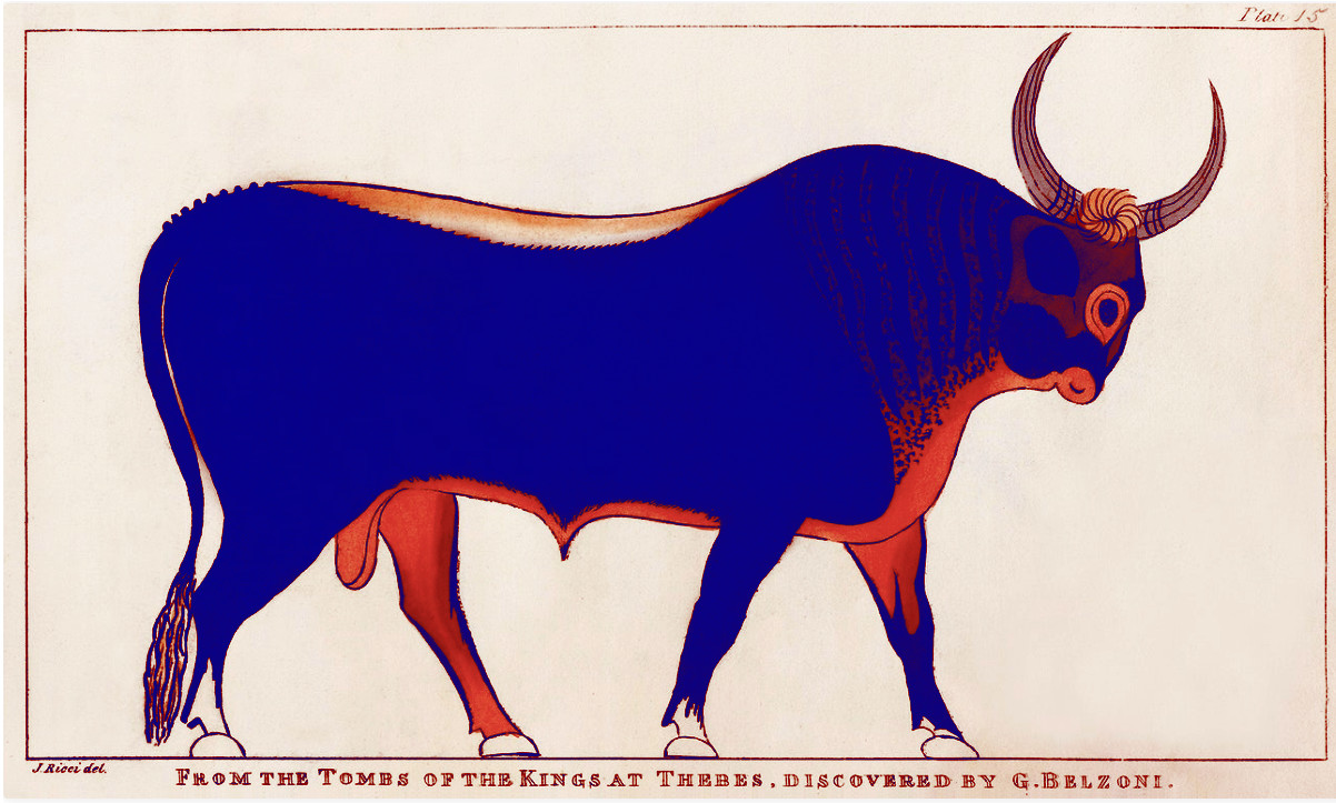 The Bull ~ Public Domain Remix