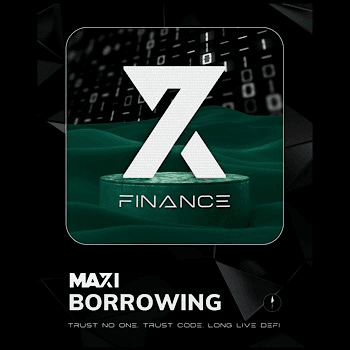 X7 Borrowing Maxi # 14