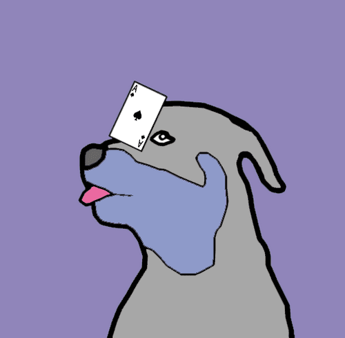 CryptoSami #125