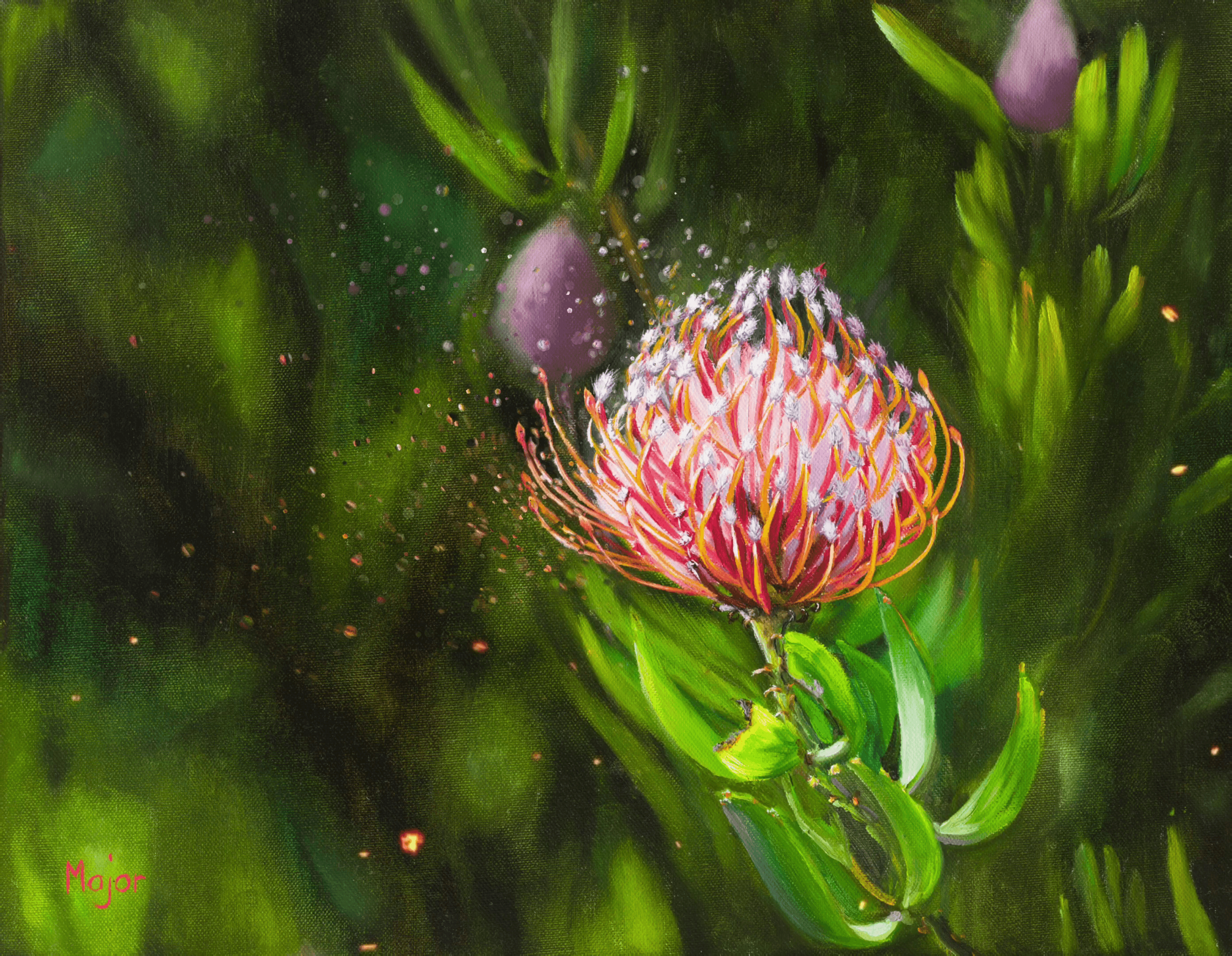 Protea African native flower 1/1