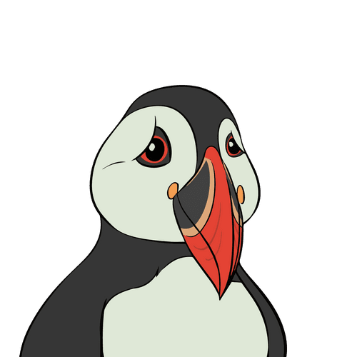 Lost Puffins