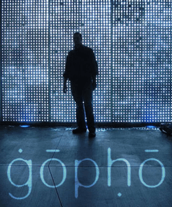 gopho Collection collection image