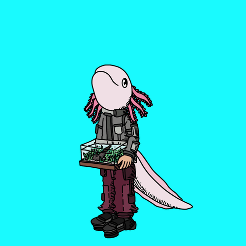 Aquariumdesigner one eyed guy #00431