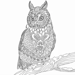 The Majestic Owl Project collection image