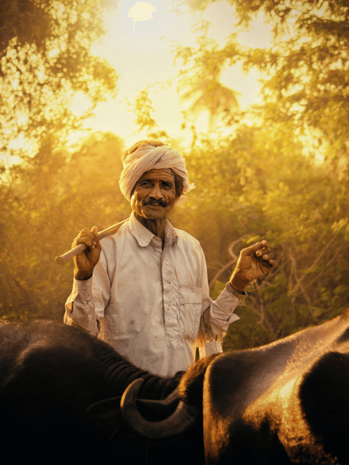 Traveller of Dusk