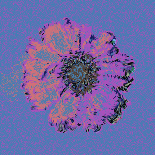 Gerbera Daisy Blue