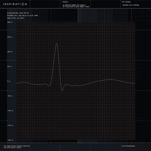 HEARTBEAT DATA PAINTING #982 NFT image