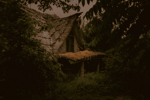 Summer In The South #15