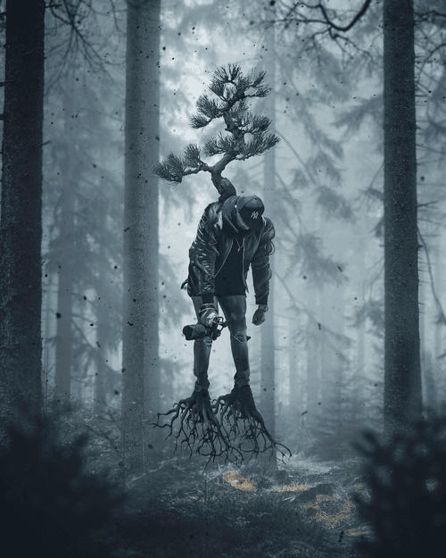 88visual's Surreal nature