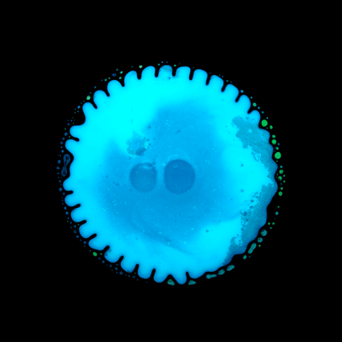 Haematopoiesis #141
