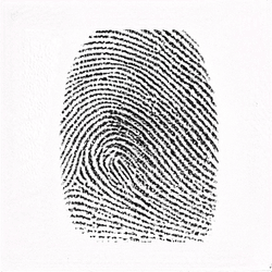 Spare Fingerprints collection image