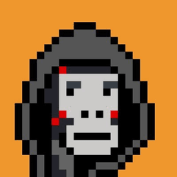 PAPC - Punk Ape Pixel Club OG collection image