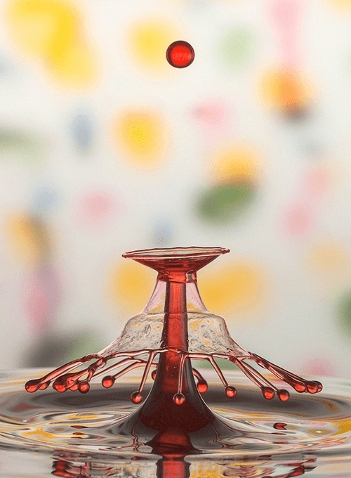 Carousel / Atlakaraca