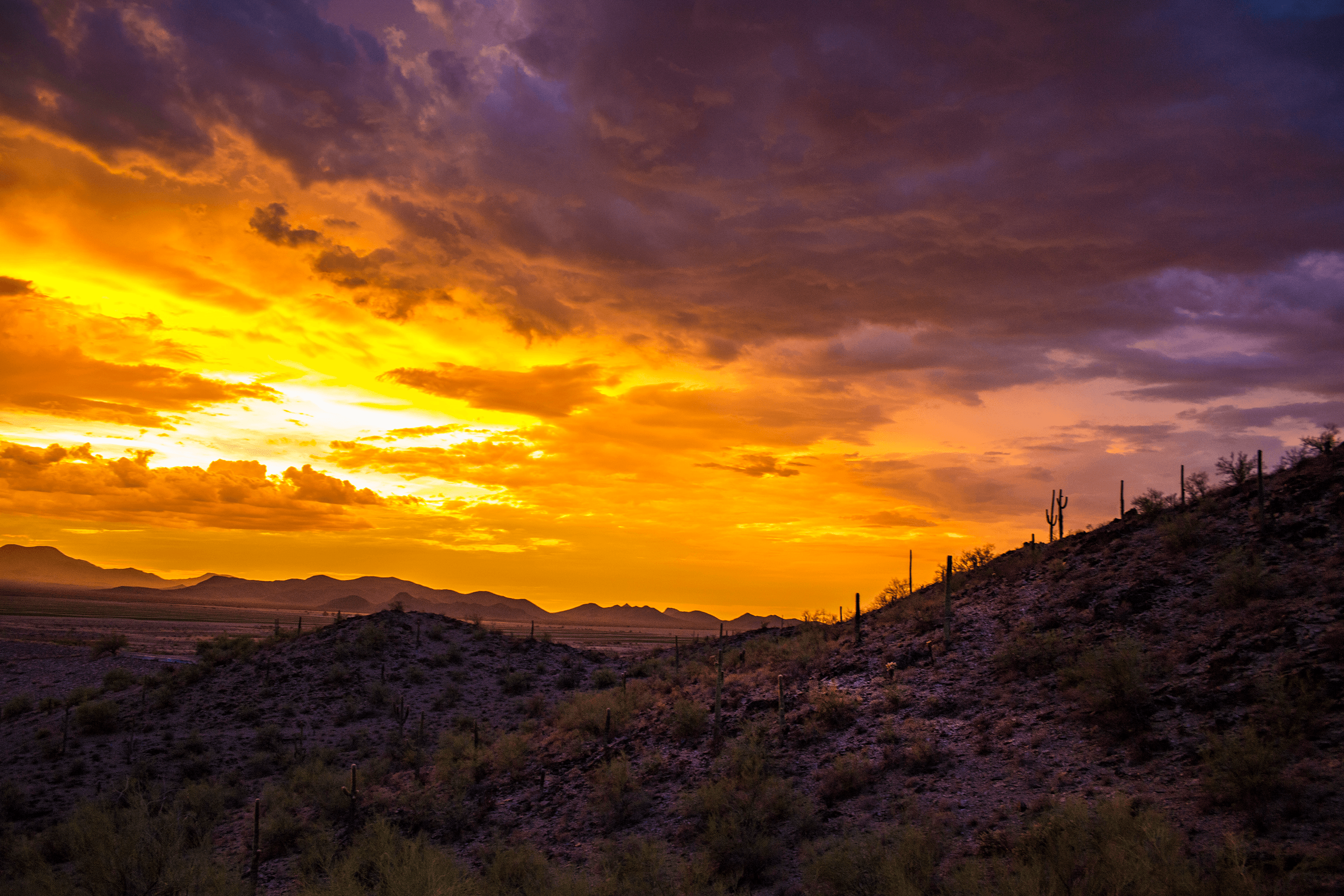 At Day's End - Sonoran Desert
