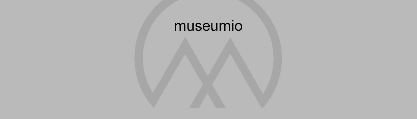 museumio banner
