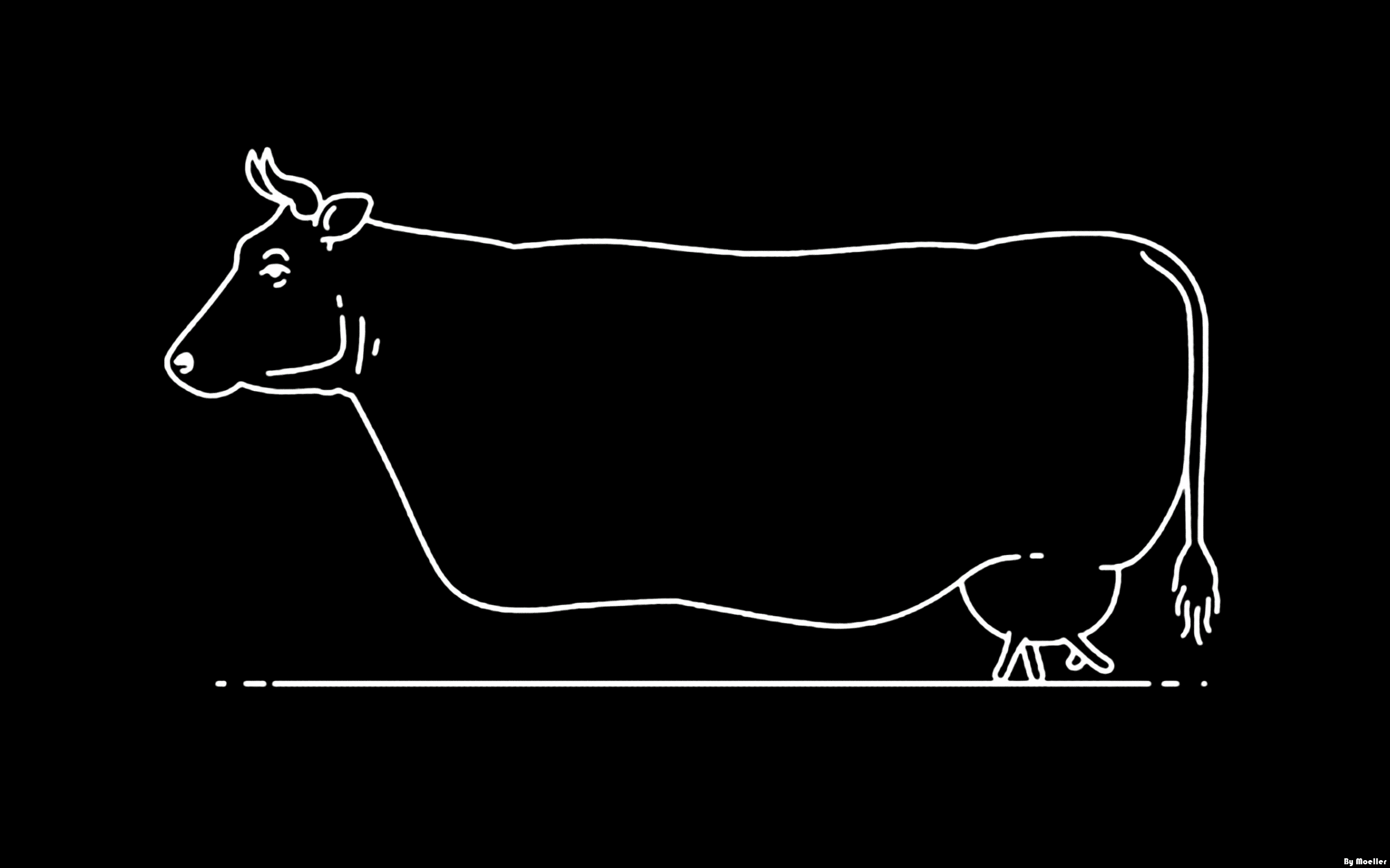 Cow Walking - "How the Cow Walk" - Black JPEG Edition 1 of 1