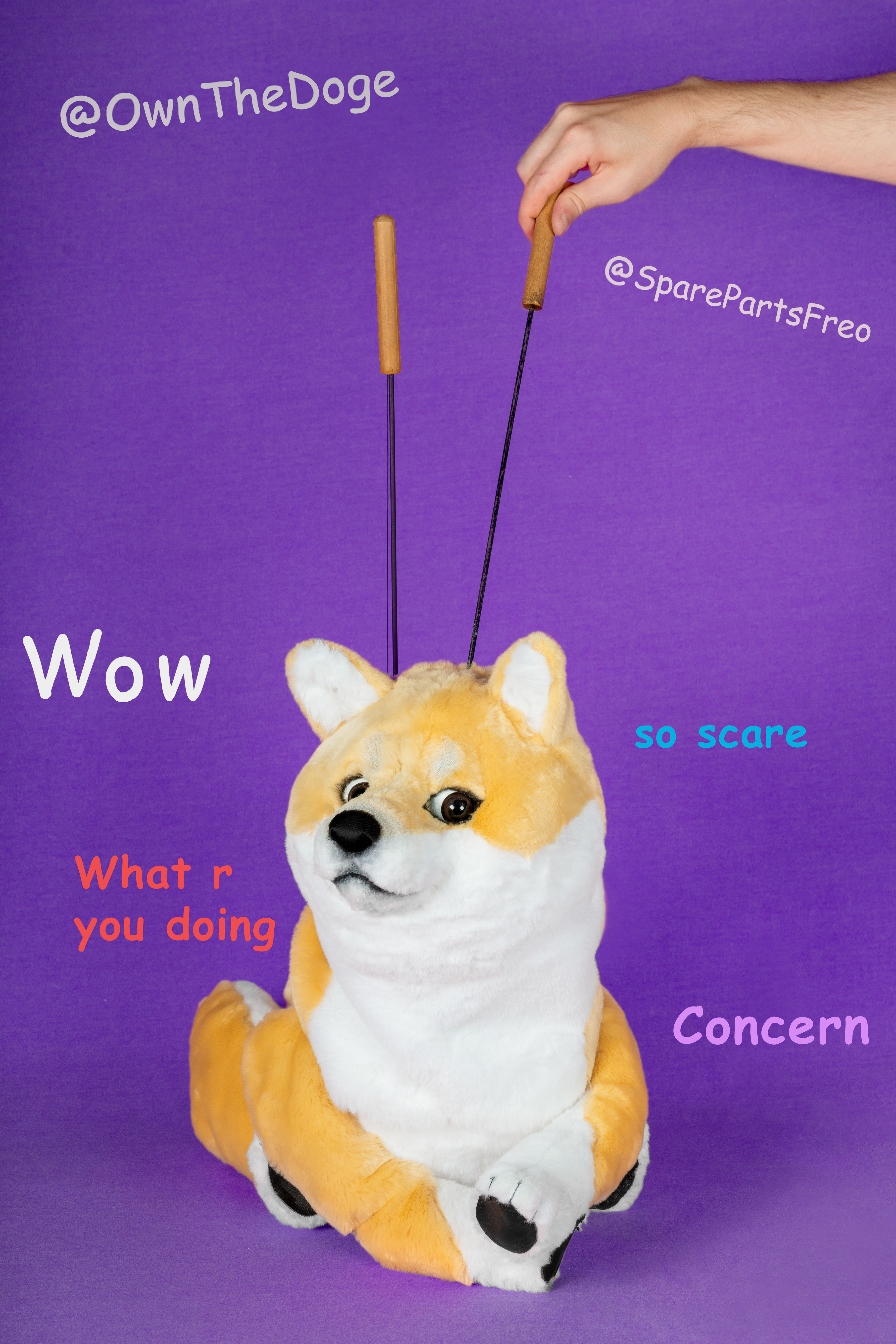 Rare Doge (with text)