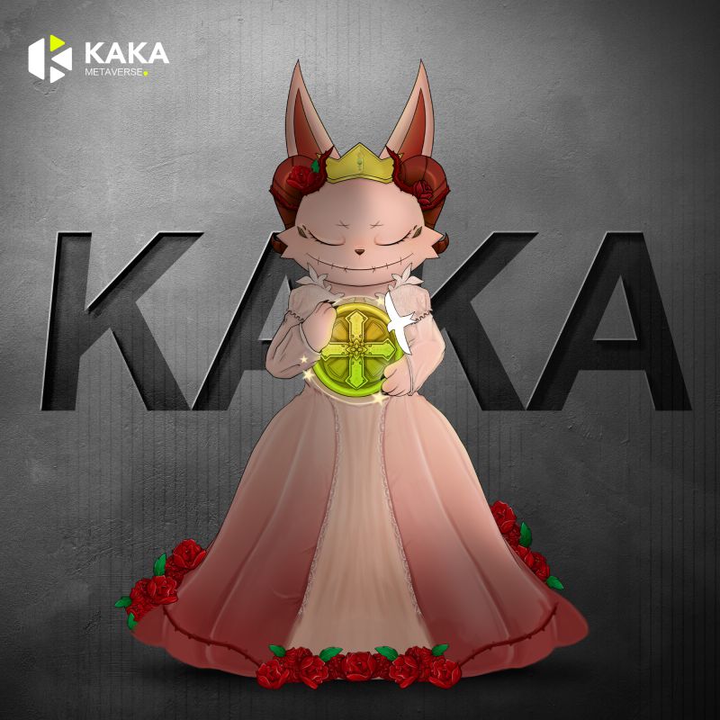 KAKA Rabbit #50
