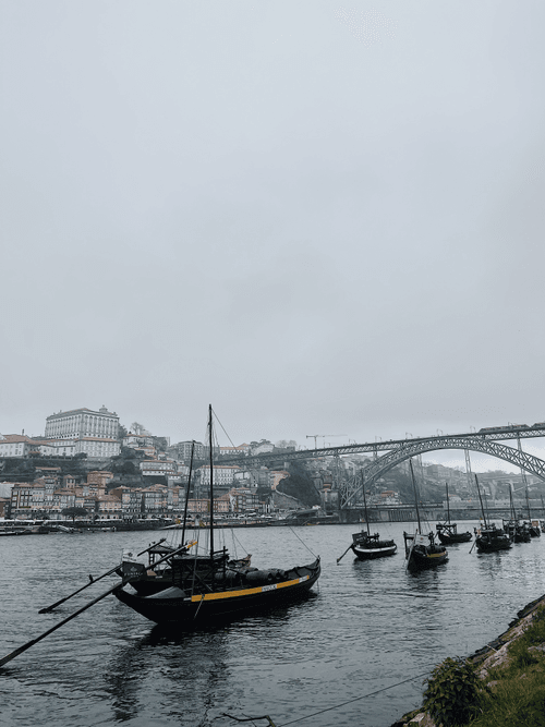 Porto wine boats 