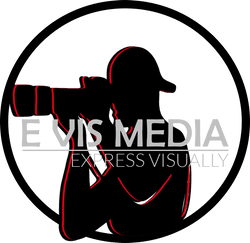 E Vis Media collection image