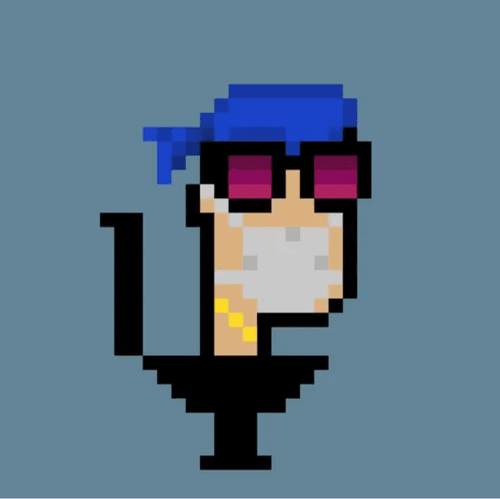 Cryptoilet Punks #24