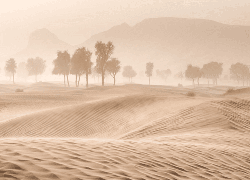 UAE Desertscapes- 26