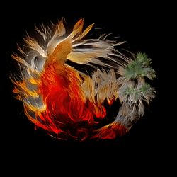 Phoenix-Rising collection image