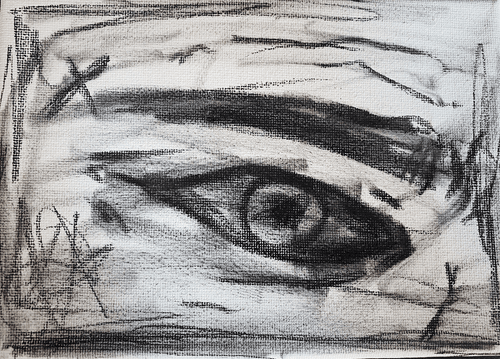 Eye Portal #17