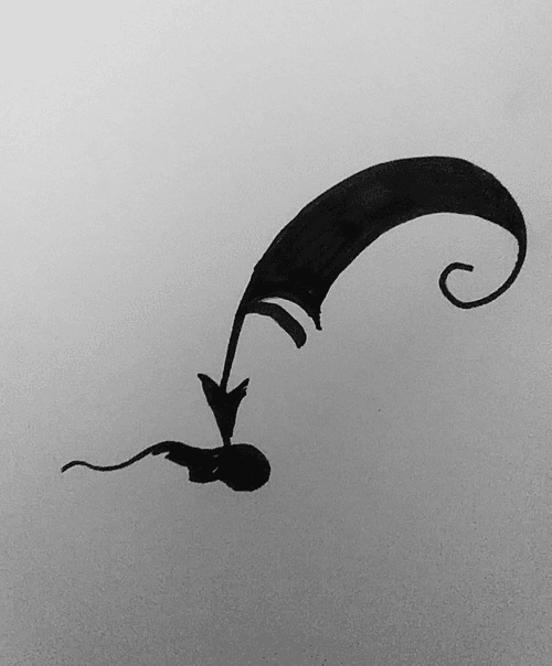Quill Drop