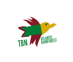 To Be Named Atlantic Rainforest (TBNAR) collection image