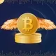 Flying Crypto