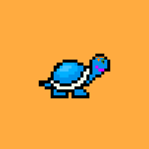 Turtle #219