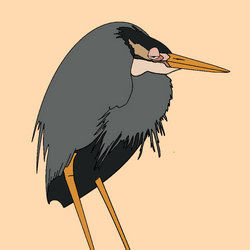 Hybrid Herons collection image