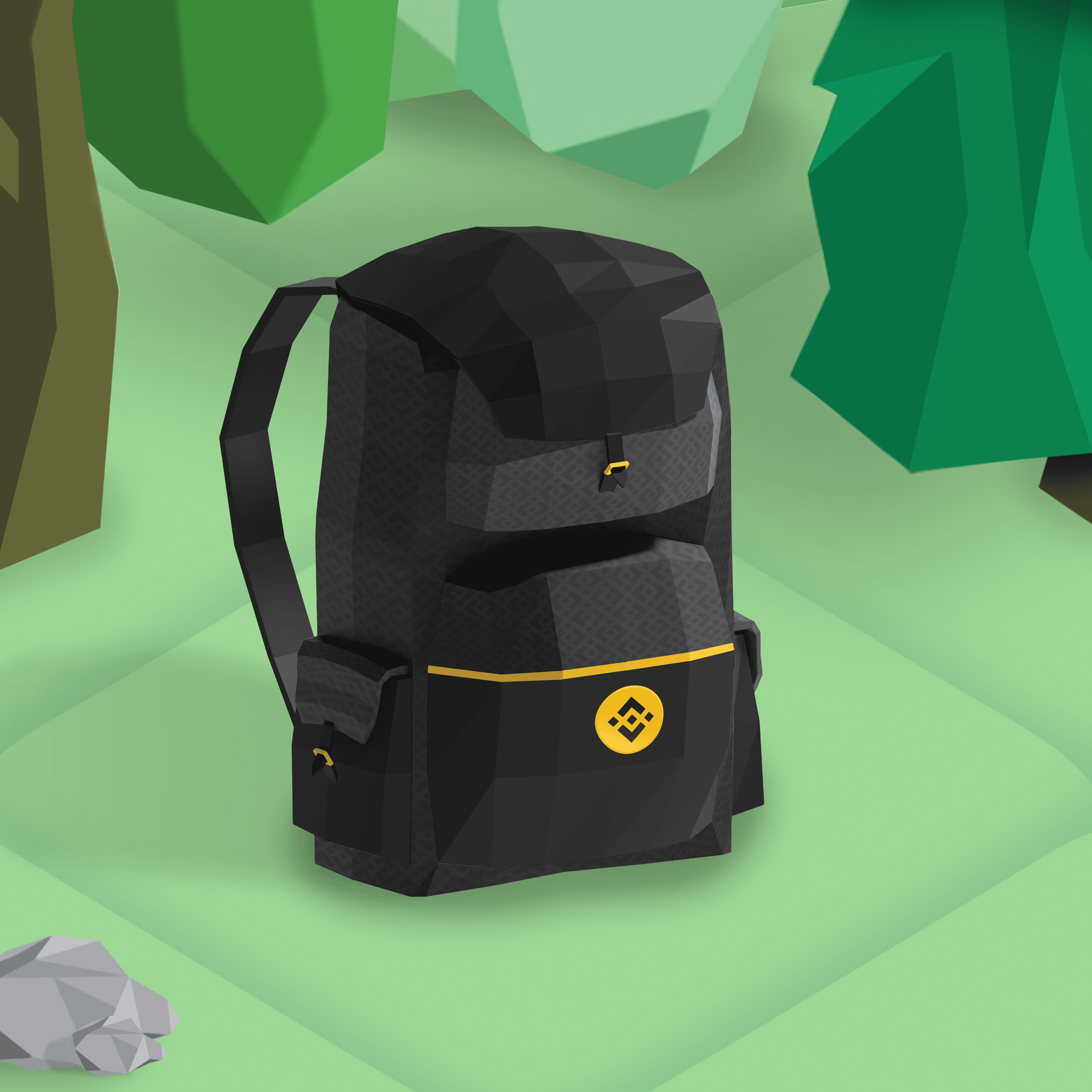 Binance Meta-Backpack