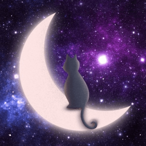 Tristhecat2021_0001